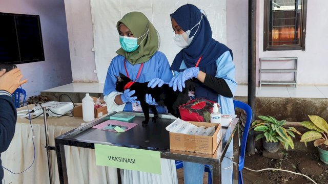 Ramaikan World Rabies Day, Hewan Peliharaan Dapat Vaksin Gratis
