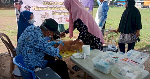 Manfaatkan Konter, DP2 Layani Pemeriksaan Hewan Gratis