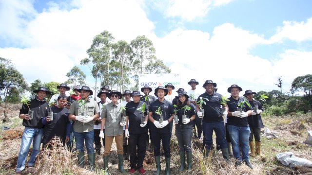 Jaga Kelestarian Danau Toba, BRI Peduli Grow dan Green Tanam 2.500 Bibit Pohon di Samosir