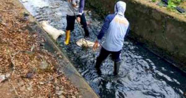 Pastikan Tak Ada Genangan, Begini Perjuangan Tim Satgas Susur Jaringan Drainase
