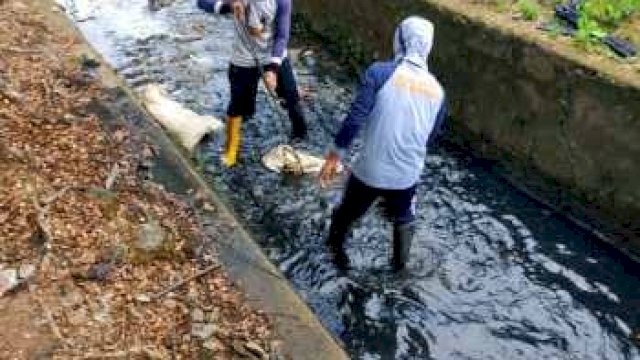 Pastikan Tak Ada Genangan, Begini Perjuangan Tim Satgas Susur Jaringan Drainase