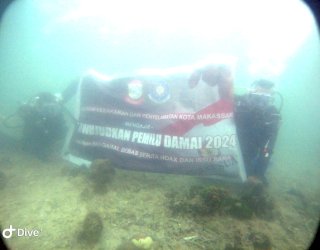 Damkar Makassar Bentangkan Bendera Pemilu Damai di Kedalaman 12 Meter Pulau Samalona