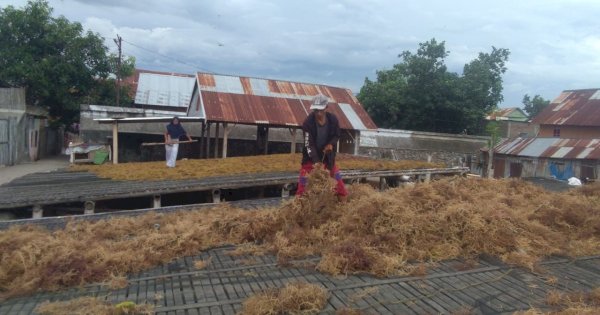 UMKM Binaan BRI yang Dorong Perekonomian Nelayan Pesisir Sulawesi Selatan