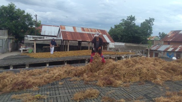 UMKM Binaan BRI yang Dorong Perekonomian Nelayan Pesisir Sulawesi Selatan