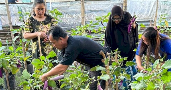 Warga Tamamaung Panen Cabai, Tomat dan Terong Hasil Urban Farming