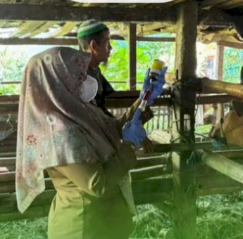 Tingkatkan Kesehatan dan Produktivitas Peternakan, DP2 Kota Makassar Lakukan Vaksinasi Massal Ternak di Kelurahan Buntusu