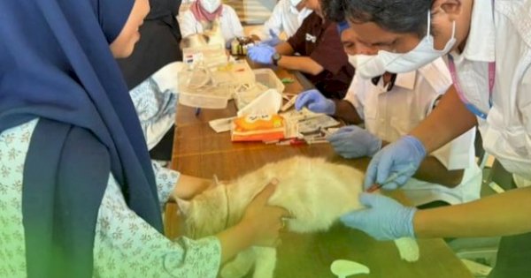 DP2 Kota Makassar Gelar Pelayanan Kesehatan Hewan dan Vaksinasi Rabies Gratis di Mall Pipo