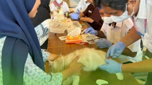 DP2 Kota Makassar Gelar Pelayanan Kesehatan Hewan dan Vaksinasi Rabies Gratis di Mall Pipo