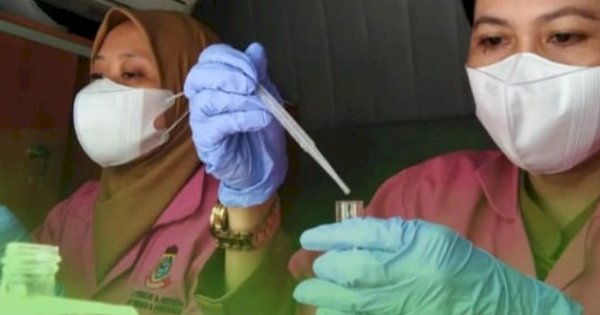 DP2 Kota Makassar Dorong Kualitas Produk Peternakan melalui Layanan Jasa Laboratorium MeatCare