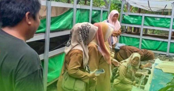 DP2 Kota Makassar Monev Budidaya LAT di Kelurahan Masale