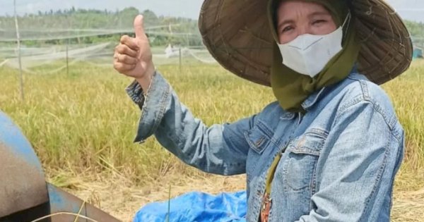 DP2 Kota Makassar Pantau Peredaran Pupuk dan Pestisida, Dukung Pertanian Lokal