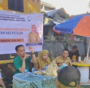 DP2 Kota Makassar Bimbing Peternak Ayam Ras Petelur di Longwis Esbjert untuk Kemandirian Ekonomi