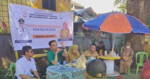 DP2 Kota Makassar Bimbing Peternak Ayam Ras Petelur di Longwis Esbjert untuk Kemandirian Ekonomi