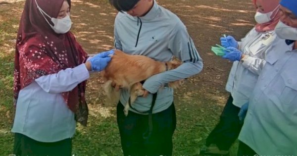 DP2 Kota Makassar Gencarkan Vaksinasi Rabies Hewan di Perdos Unhas