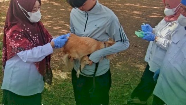 DP2 Kota Makassar Gencarkan Vaksinasi Rabies Hewan di Perdos Unhas