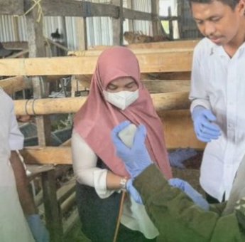 Jelang Idul Adha, DP2 Kota Makassar Galakkan Vaksinasi dan Pemeriksaan Darah Ternak Besar