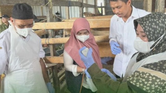 Jelang Idul Adha, DP2 Kota Makassar Galakkan Vaksinasi dan Pemeriksaan Darah Ternak Besar