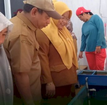 DP2 Kota Makassar Monev Penerima Bantuan Budidaya Lobster Air Tawar