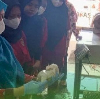 Tingkatkan Pengawasan Produk, DP2 Kota Makassar Periksa Rumah Potong Unggas Mitra Kirana