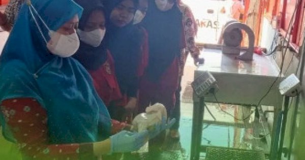 Tingkatkan Pengawasan Produk, DP2 Kota Makassar Periksa Rumah Potong Unggas Mitra Kirana