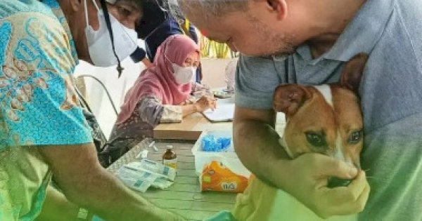 DP2 Makassar dan MCLC Gelar Vaksinasi Rabies dan Layanan Kesehatan Hewan di Summarecon Mutiara Makassar