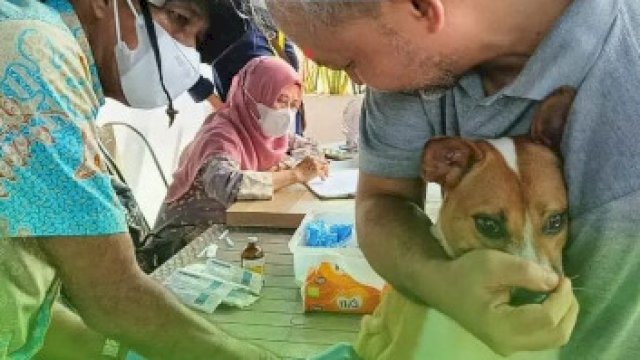 DP2 Makassar dan MCLC Gelar Vaksinasi Rabies dan Layanan Kesehatan Hewan di Summarecon Mutiara Makassar