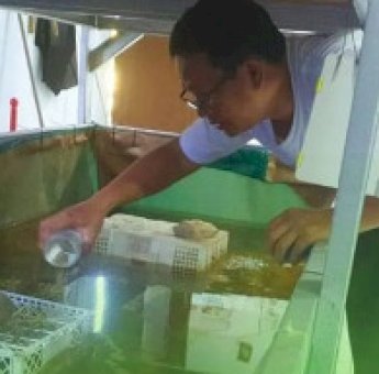 DP2 Makassar Dorong Inovasi Budidaya Udang Lobster dan Ikan Nila dengan Teknologi Terbaru di BPP Sudiang