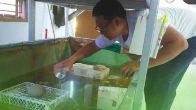 DP2 Makassar Dorong Inovasi Budidaya Udang Lobster dan Ikan Nila dengan Teknologi Terbaru di BPP Sudiang