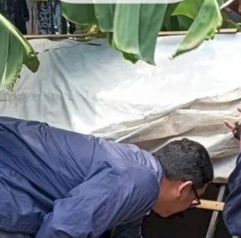 DP2 Kota Makassar Lakukan Pengawasan Budidaya Lobster dan Ikan Air Tawar