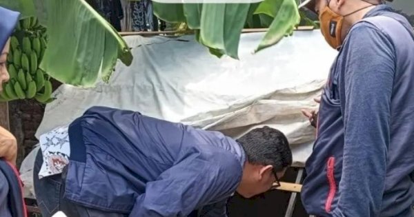 DP2 Kota Makassar Lakukan Pengawasan Budidaya Lobster dan Ikan Air Tawar