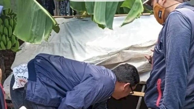 DP2 Kota Makassar Lakukan Pengawasan Budidaya Lobster dan Ikan Air Tawar