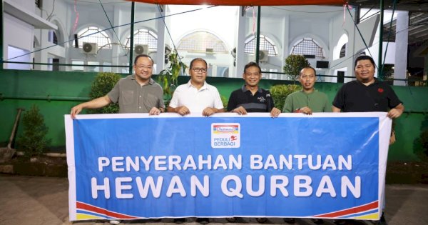 Danny Pomanto Terima Sapi Kurban dari Indomaret Cabang Makassar