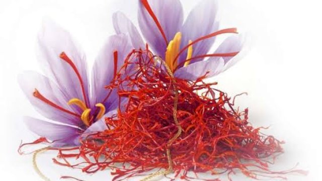 Dinkes Makassar Ulas Manfaat Safron Baik untuk Kesehatan, Turunkan Risiko Penyakit Jantung Hingga Kanker