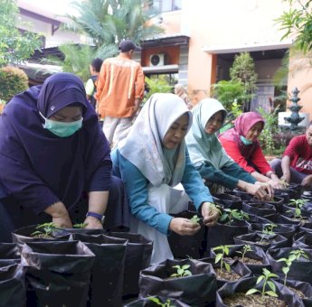 Gandeng DP2 Makassar, Begini Arahan Camat Rappocini Usai Gelar Pemindahan Bibit Cabai