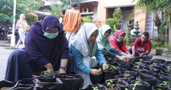 Gandeng DP2 Makassar, Begini Arahan Camat Rappocini Usai Gelar Pemindahan Bibit Cabai