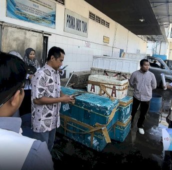 Edukasi Pelaku Usaha Soal LKPM, Dinas PM-PTSP Sasar Perizinan Pelaku Usaha Sektor Perikanan
