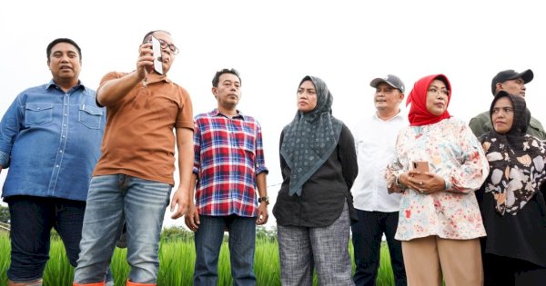 Dinas PU Bakal Bangun Jalan Menuju Stadion Sudiang Sepanjang 5 Kilometer