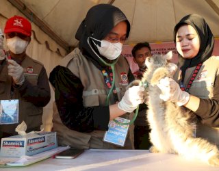 Zona 5 F8 Makassar Sediakan Free Vaksinasi Rabies Untuk Hewan Kesayangan