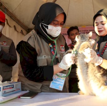 Zona 5 F8 Makassar Sediakan Free Vaksinasi Rabies Untuk Hewan Kesayangan