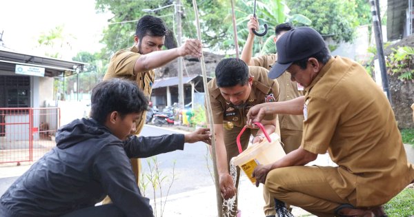 Aksi Tanam Pohon Tabebuya di Manggala Tutup Tour Pjs Wali Kota di 15 Kecamatan