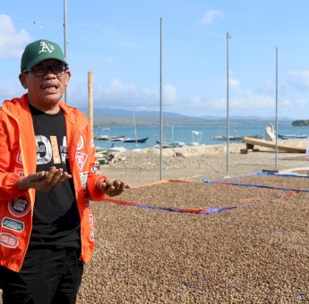 Petani Jambu Mete di Selayar Curhat ke Azhar: Harga Jual Rendah, Kami Menderita