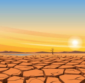 Kemarau Intai Sulsel Mulai Mei, BMKG Ingatkan Kekeringan dan Karhutla