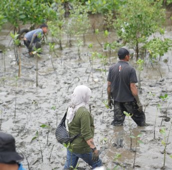 Wali Kota Munafri Tekankan Manfaat Mangrove