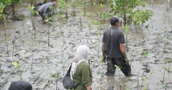 Wali Kota Munafri Tekankan Manfaat Mangrove