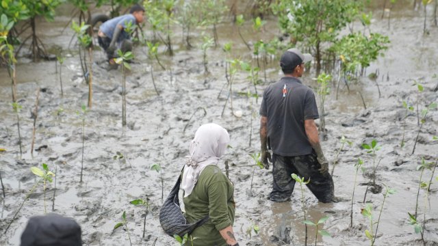 Wali Kota Munafri Tekankan Manfaat Mangrove