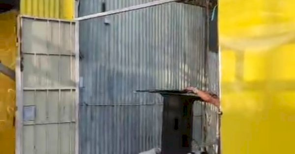 40 PKL di Jalan Tinumbu Bongkar Lapak Secara Mandiri, Tanpa Konflik