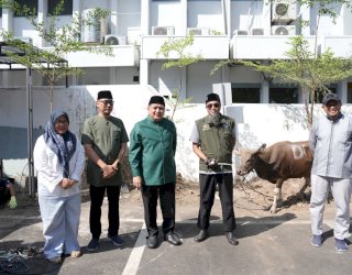 Momentum Iduladha, Pemkot Makassar Tebar Kepedulian Lewat Penyembelihan 9 Sapi Kurban