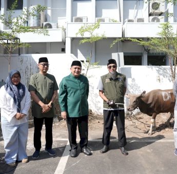 Momentum Iduladha, Pemkot Makassar Tebar Kepedulian Lewat Penyembelihan 9 Sapi Kurban