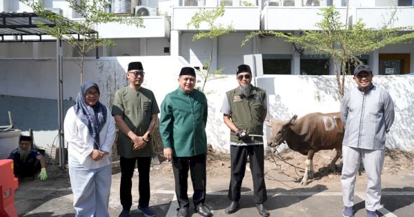 Momentum Iduladha, Pemkot Makassar Tebar Kepedulian Lewat Penyembelihan 9 Sapi Kurban