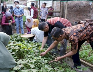 Tinjau Urban Farming Tallo, Munafri: Lahan Terbatas Bisa Jadi Sumber Penghasilan